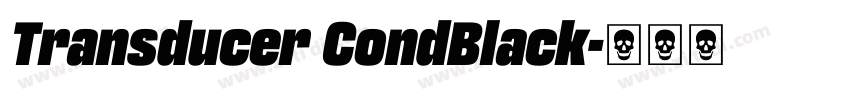 Transducer CondBlack字体转换
